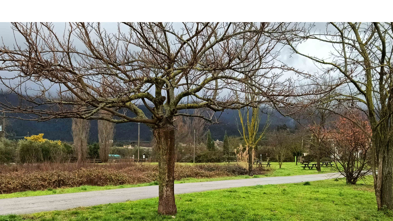 Ecosistemi_urbani_e_Nature_Restoration_Regulation_opportunità_e_sfide_future_MUSE2026